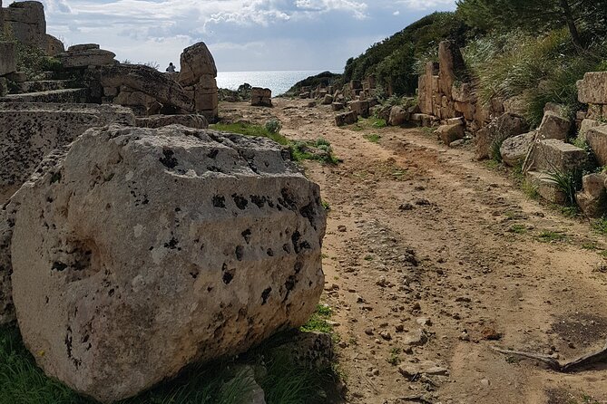 Private Guided Tour of the Selinunte Ruins - Reservation and Security