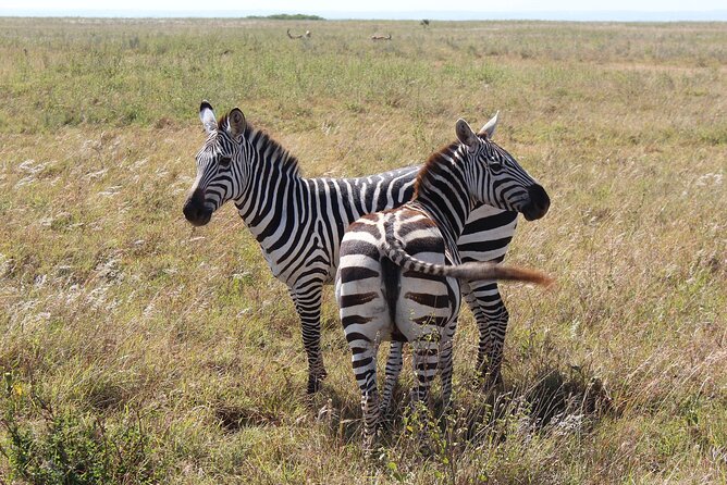 Private Half-Day Nairobi National Park and Giraffe Center Tour - Booking and Cancellation