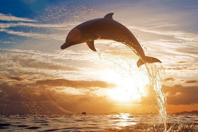 Private Half-Day Snorkeling in Hurghada Red Sea - Pricing Details