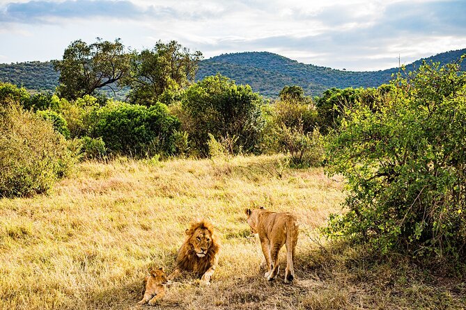 Private Half Day Tour in Maasai Mara - Booking Information