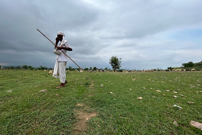 Private Half-Day Village Safari Tour in Jaipur - Cancellation Policy