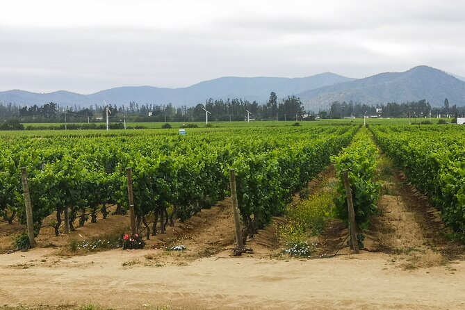 Private Helicopter Flight to Winery With Sparkling Wine Tasting - Pickup Information