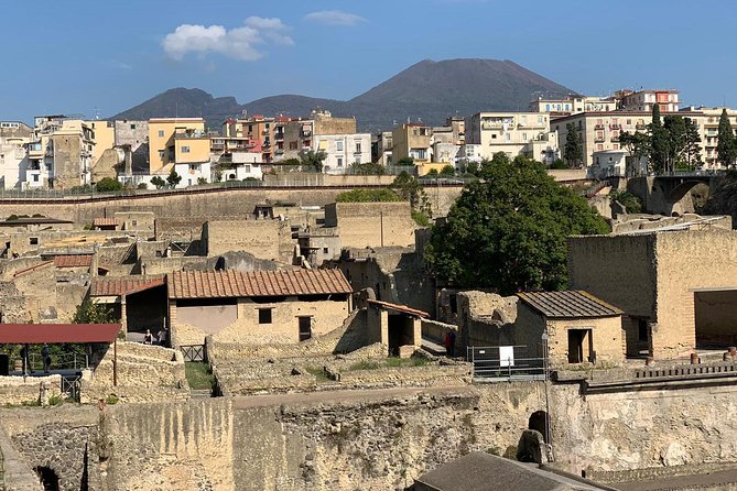 Private Herculaneum Ruins Archeological Exploration! - Additional Info and Operator