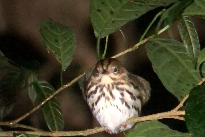 Private Hike Through the Wildlife Refuge - Activity Overview