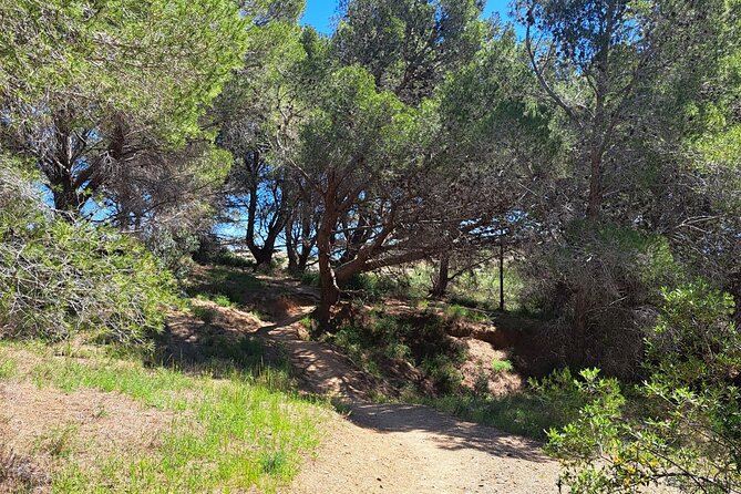 Private Hiking and Snorkeling Tour in Llanca From Barcelona - Meeting Point