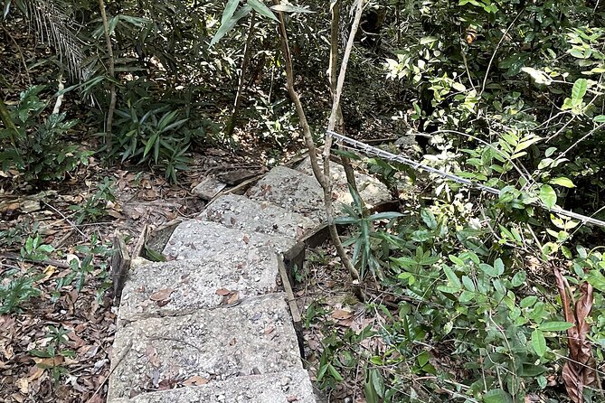 Private Hiking in Masingini Forest From Stone Town - Cancellation Policy