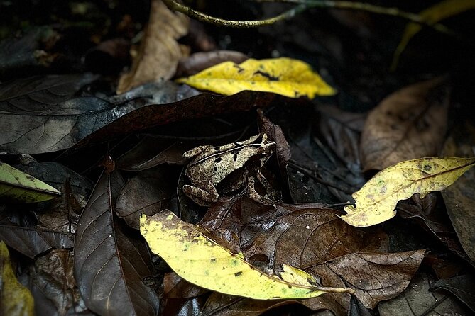 Private Hiking Tour at Soberania National Park - Tour Schedule