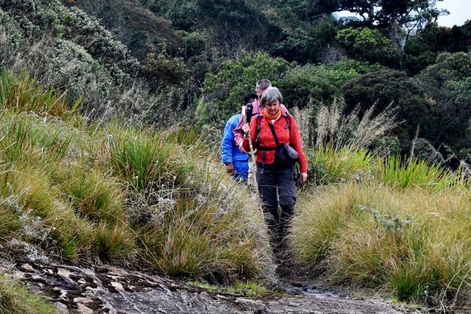Private Hiking Tour to Kirigalpoththa Mountain via Horton Plains - Important Information