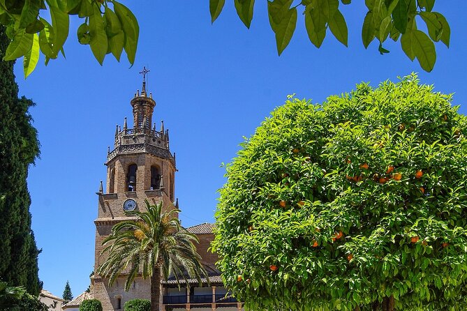 Private Historic Walking Tour in Ronda - Operated by