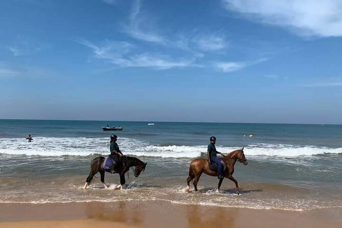 Private Horse Riding Activity in Port City - Booking Information
