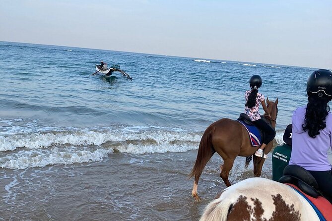 Private Horse Riding in Mount Lavinia - Activity Overview