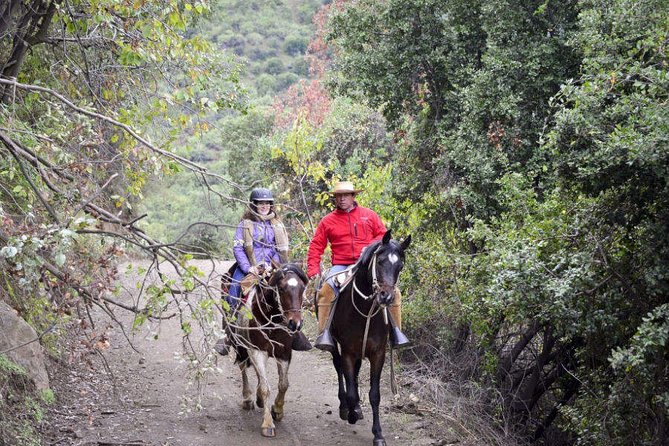 Private Horseback Riding and Wines From Santiago - Frequently Asked Questions