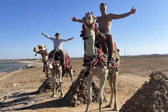 Private Horseback Riding in Marsa Alam and Port Ghalib - Booking Confirmation