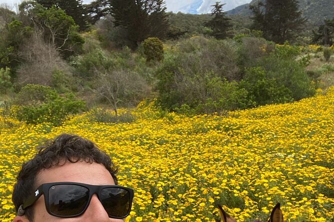 Private Horseback Riding to Cerro El Mollar and Cachagua - Cancellation Policy