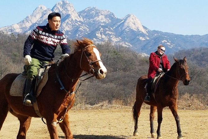 Private Horseback Riding With English Lesson in Seoul - Meeting and Pickup
