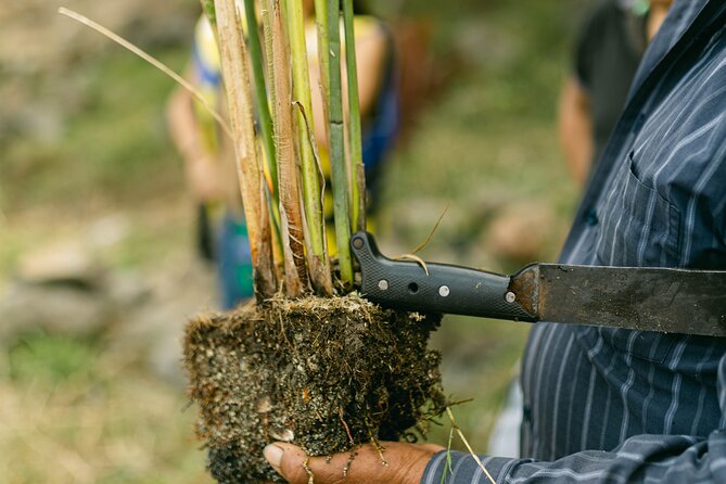 Private Interactive Planting Tour on Lake Atitlan - Booking and Cancellation Policy