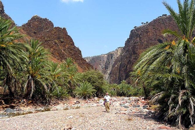 Private Jeep Safari To Wadi Qunai And Three Pools From Dahab - Frequently Asked Questions