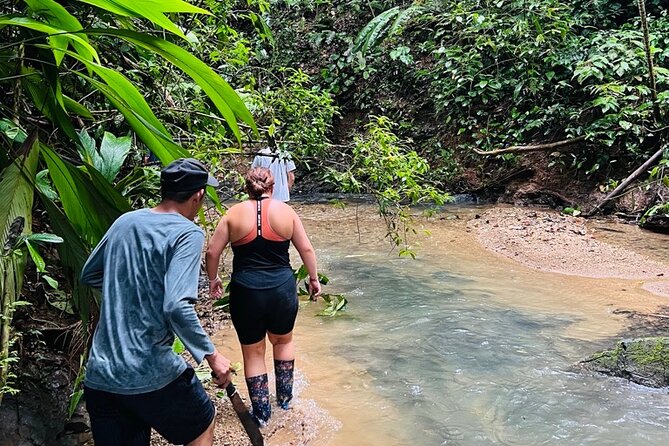 Private Jungle Hike to 2 Waterfalls With Lunch - Pricing Information