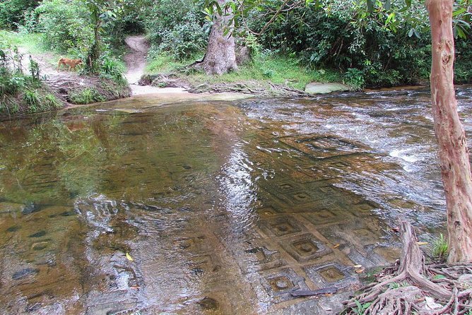 Private Kulen Mountain and Beng Mealea Temple Tour - Customer Reviews and Feedback