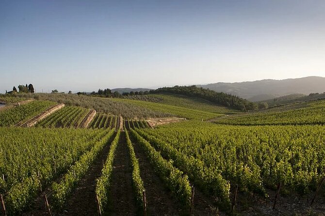 Private Livorno Shore Excursion Tuscan Villages and Chianti Wine - Booking Information