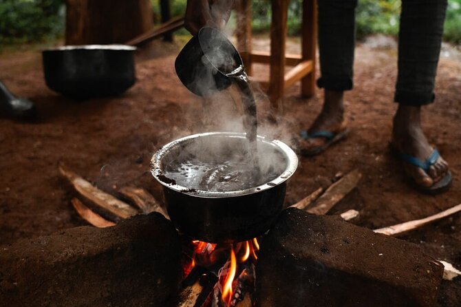 Private Materuni and Chemka Hotspring Tour
