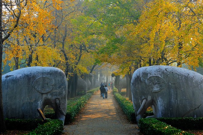 Private Nanjing Layover Tour to Sun Yat-sem Mausoleum and Xiaoling Tomb - Price and Guarantee
