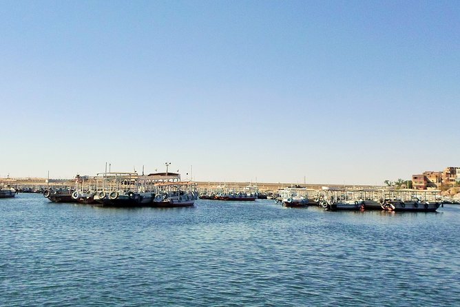 Private Over Day From Cairo to Explore the Highlights of Aswan With Domestic Flight and Lunch Included - Qualified Egyptologist Guide