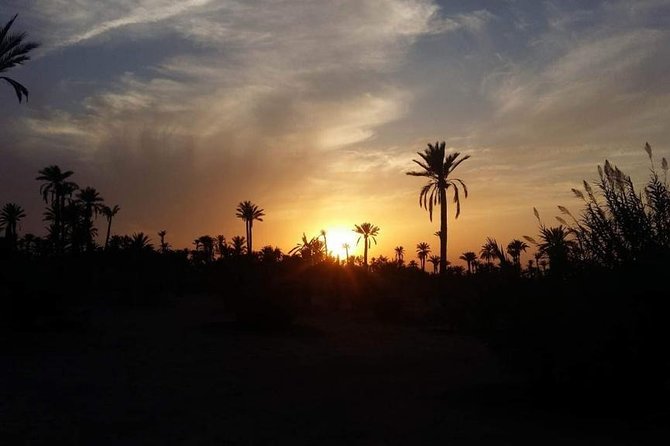 Private Palm Grove Camel Ride With A Tea Break. - Additional Options