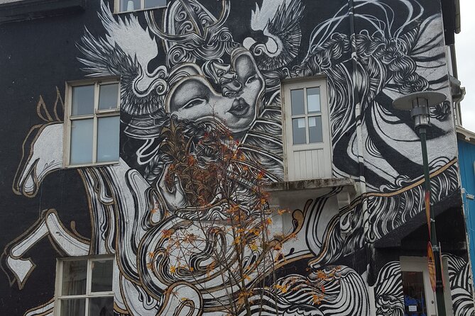 Private Reykjavik Street Art Walking Tour - The Instagram Tour - Meeting and Pickup