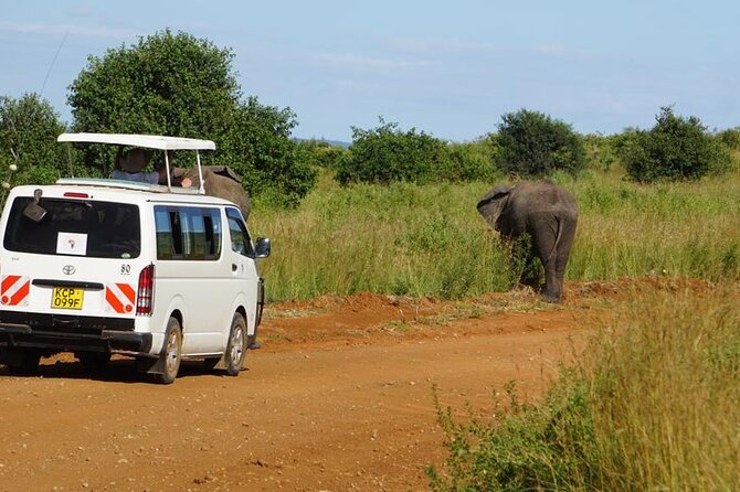 Private Road Transfer From Nairobi to Amboseli National Park - Drop-off Locations