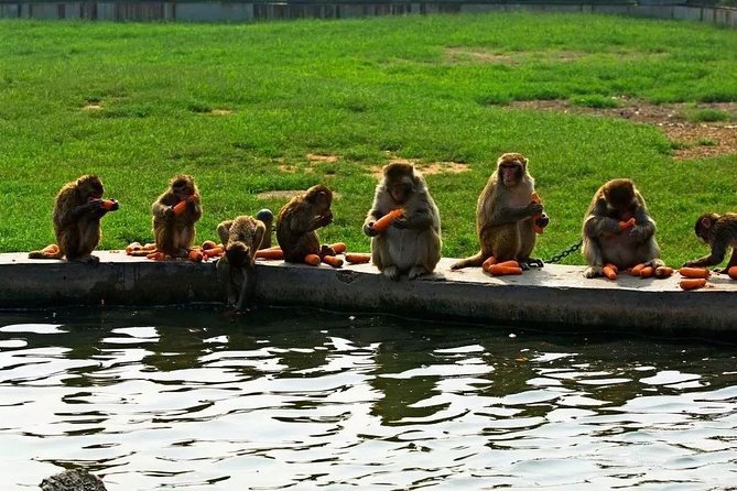 Private Seasonal Day Tour to Beidaihe From Beijing With Birding Experience - Cancellation Policy