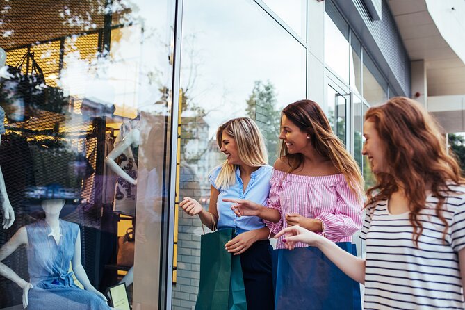 Private Shopping Tour From Oslo to Oslo Fashion Outlet Vestby - Inclusions