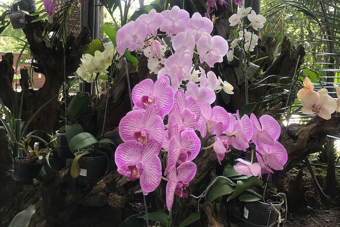 Private Silleteros (Flowers) Tour - Tour Experience