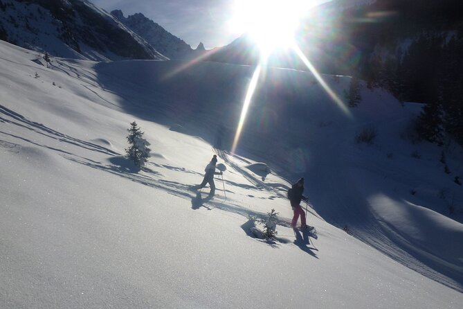 Private Snowshoe Hike in Courchevel - Pricing and Policies