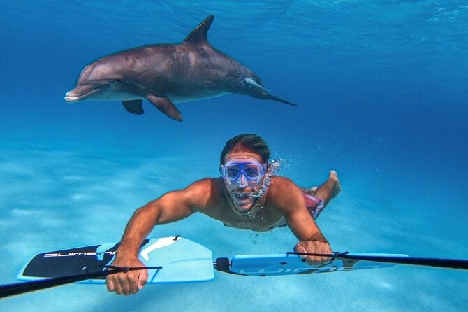PRIVATE Speed Boat Snorkeling With Dolphins Sea Trip - Hurghada - Booking Process