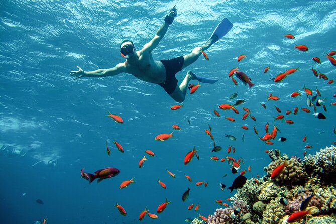 Private Speedboat and Snorkeling Trip to Eden Island - Hurghada - Cancellation Policy