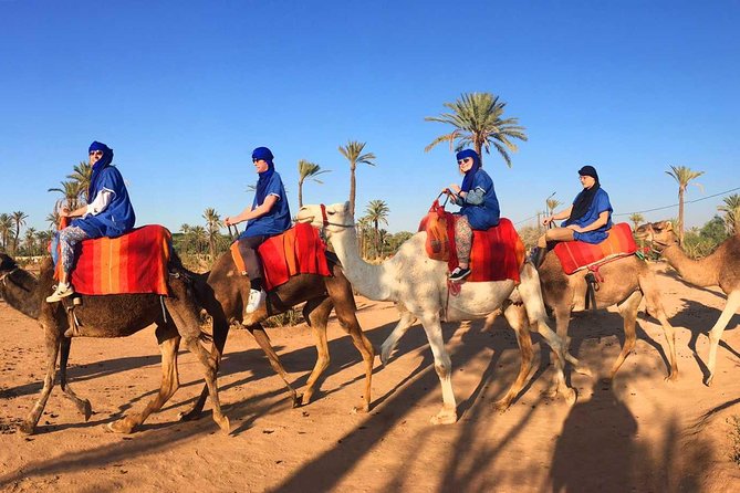 Private Sunset Camel Ride With Tea Break In Marrakeh Palm Grove - Experience Details