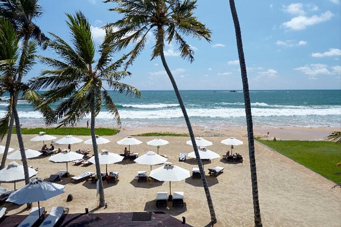 Private Taxi From Sri Lanka Airport (Cmb-Bia) to EKHO Surf Hotel Bentota - Service Inclusions and Details