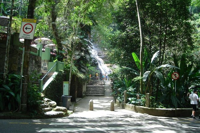 Private Tijuca Forest and Christ the Redeemer Tour - Booking Information