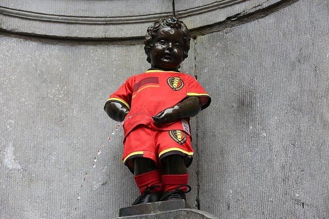 Private Tour : Best of Brussels Half Day From Brussels - Booking Process