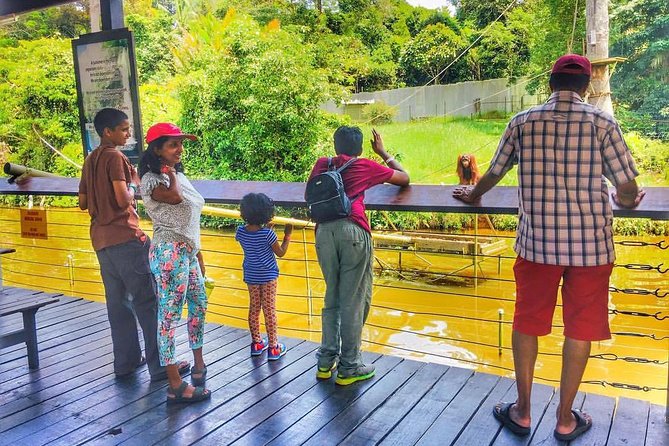 Private Tour : Bukit Merah Orang Utan Island With Perak Cave Temple - Meeting and Pickup