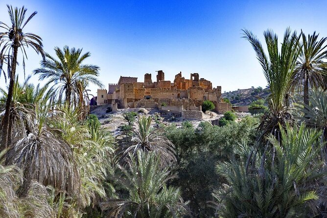 Private Tour Discovering Nature and History in Taroudant - Weather Contingency