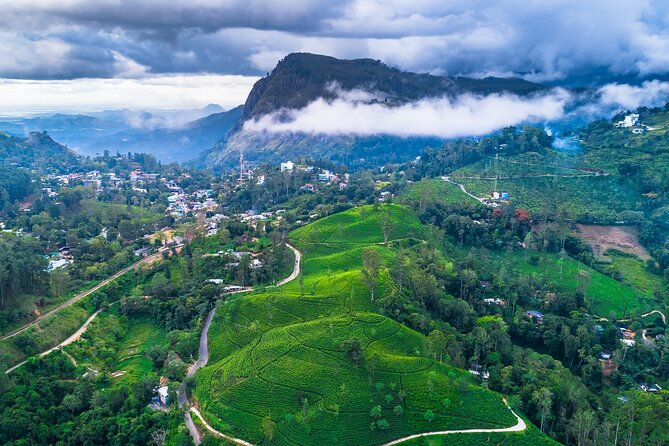 Private Tour Ella With Train Ride & Tea Plantation - The Sum Up