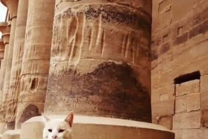Private Tour From Cairo 7 Days 7 Ways in Egypt - Booking and Pricing Information