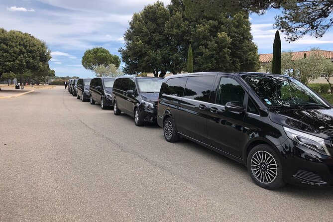 Private Tour From Marseille Cruise Port or Hotel With Luxury Van - Pricing Details