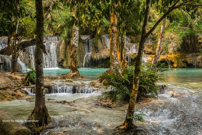Private Tour Full-day Morning Market, Villages and Scenic Kuang Si Waterfall - Guest Testimonials