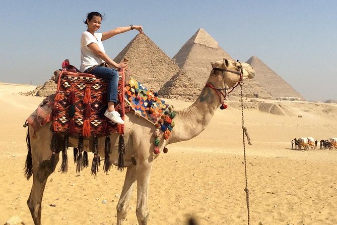 Private Tour Giza Pyramids, Sphinx, Egyptian Museum, Camel Ride - Tour Operator Information