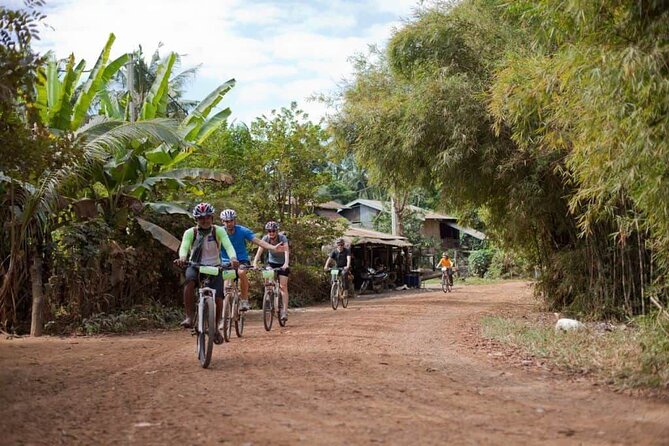 Private Tour Hiking and Trekking to Phnom Krom - Local Wildlife and Flora