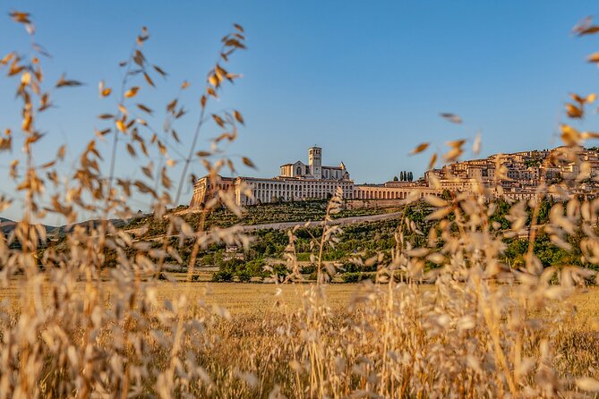 Private Tour in Basilica of St. Francis of Assisi - Reservation
