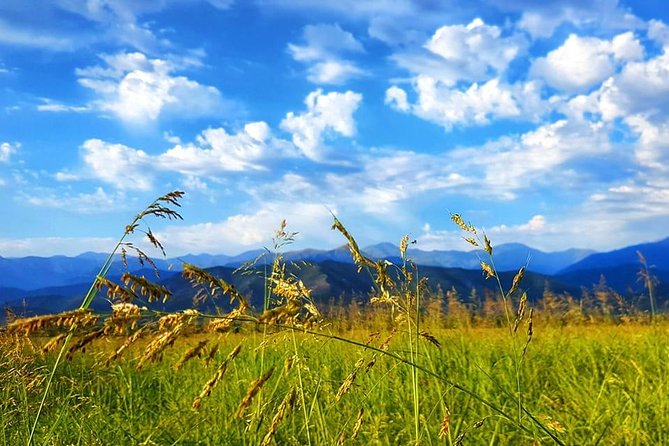 Private Tour in Wine Region Kakheti - Cancellation Policy Details